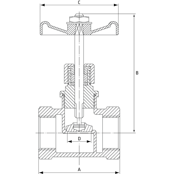 Globe Valve